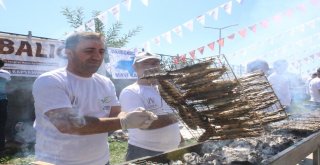 Vanda Balık Festivaline Yoğun İlgi