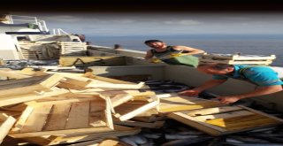 Karadenizden Palamut Fışkırdı