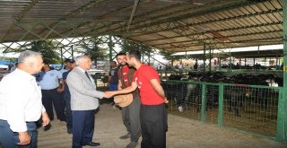 Başkan Günaydın, Hayvan Pazarında İncelemelerde Bulundu