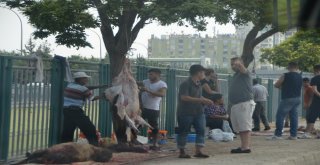 Kurban Keserken Ne Cezaya Ne De Çocuklara Aldırmadılar