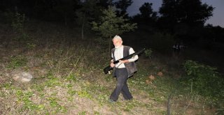 (Özel Haber) Köylülerin Silahla Domuz Nöbeti