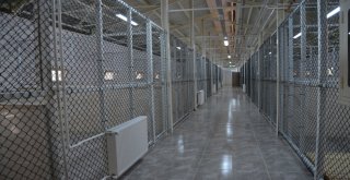 Hayvan Bakımevi Ve Rehabilitasyon Merkezi Açıldı