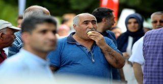 Gürsuda Armut Festivali Coşkusu