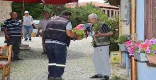 Tarihi Odunpazarı Bölgesi Çiçek Açtı