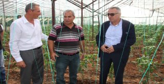 Antalyada Solucan Gübresi İle Tarım Uygulaması Yapıldı