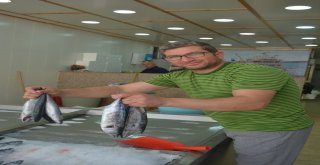 Sinopta Palamutlar Tezgahlardaki Yerini Aldı