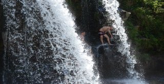 Sıcaktan Bunalanlar, Şelalelere Akın Etti