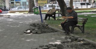 Afyonkarahisarda Karayolları Parkına Yoğun İlgi