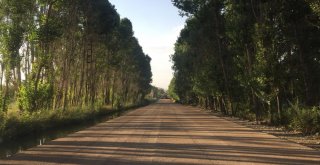 Van Büyükşehir Belediyesinden Ercişe 14 Milyonluk Yol Yatırımı