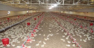 Yöneticiliği Bıraktı, Aldığı Destekle Kendi İşinin Patronu Oldu