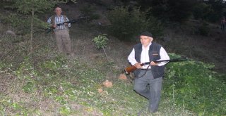 (Özel Haber) Köylülerin Silahla Domuz Nöbeti