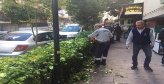 Şehzadelerde Kış Hazırlıkları Başladı