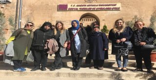 Türkiyedeki 7 Bölgenin Kadın Liderleri, Akdeniz Bölgesi Sorunlarını Ispartada Masa Yatıracak
