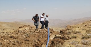 16 Mahalle Çifte Bayram