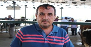 Hayvancılar Kurbanlıklara İlgiden Memnun Değil