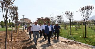 Göletli Parkta Yeşillendirme Çalışması