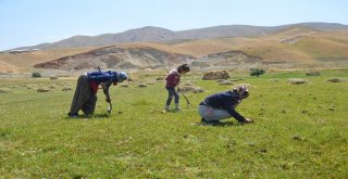 Salep Ekmek Kapısı Oldu