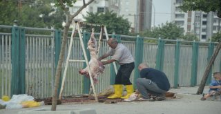 Kurban Keserken Ne Cezaya Ne De Çocuklara Aldırmadılar