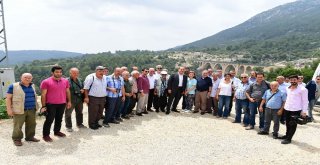 Başkan Sözlü: Adnan Menderes Adasını Da Temizleyeceğiz