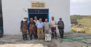Denizi Olmayan Manisadan Uzak Doğuya Balık İhracatı