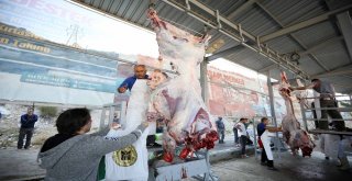 Yenimahallede Kurban Bayramı Coşkusu