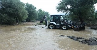 Selin Vurduğu Ballıkayalar Gündüz Görüntülendi