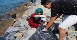 Aydında Ak Gençler Çevre Kirliliğine Dikkat Çekti