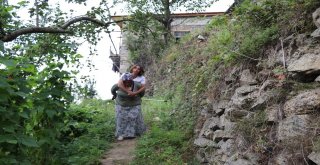 600 Metrelik Yolu Annesinin Sırtında Gidiyor