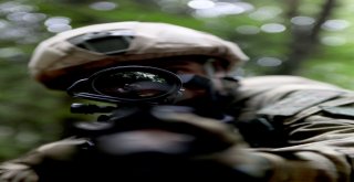 Jöperler İlk Defa Bu Kadar Yakından Görüntülendi