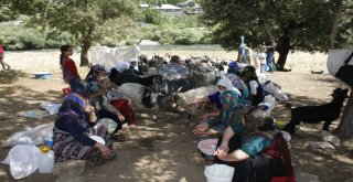 Bin Yıllık Çoban Geleneği Yaşatılıyor