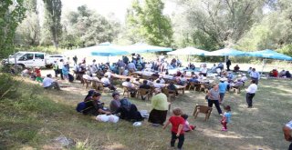 Güzelköyde Damla Sulama İle Tarımda Verimlilik Artacak