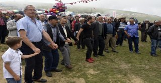 Teröre İnat Binlerce Kişi 173.güvende Yayla Şenliğinde Buluştu