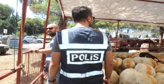 Ayvalıkta Polisten Perşembe Pazarı İle Kurban Pazarında Sıkı Güvenlik Önlemleri