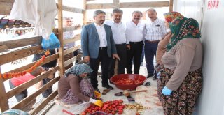 Samsattaki Depremin Enkazları Temizlenecek