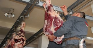 Hayat Ağacı Derneğinde Kurban Hisse Bedeli Açıklandı