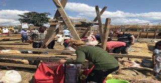 Bayramın 2Nci Gününde Kurban Pazarlarındaki Yoğunluk Azaldı