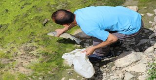 Yeşilırmak İlk Defa Bomboş Kaldı