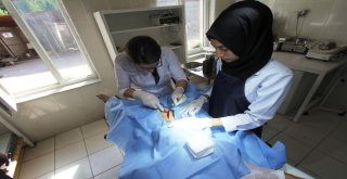 Stajyer Öğrenciler İlk Defa Ameliyat Heyecanı Yaşadı