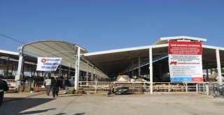 Nazillide Kurban Kesim Yerleri Belirlendi