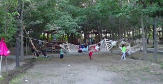 Iğdır Kent Ormanına Kavuştu