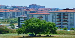 Öğrenciler Sınavın, Velileri Sıcak Havanın Terini Döktü
