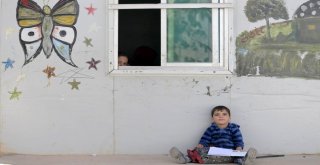 Türkiye Diyanet Vakfından Suriyeye Yardım Eli