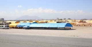 Kurban Pazarında Esnafların Yeri Kura İle Belirlendi