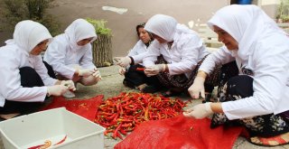 Suriyeli Mülteciler Yetiştiriyor, Türk Kursiyerler İşliyor