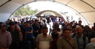 Suriyeliler Ülkelerine Koşarak Gitti