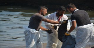 Foçadaki Fuel-Oil Sızıntının Ardından Çalışmalar 5. Günde De Sürüyor