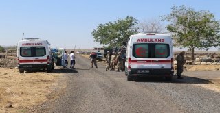 Diyarbakırda Arazi Kavgası: 4 Yaralı