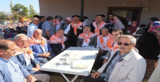 Turgutluda Yörük Şenliği