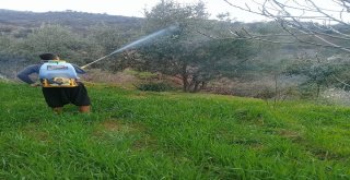 Aydında Çiftçiler İsyanda
