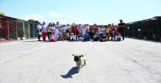 Çocuklardan Can Dostlara Şefkat Ziyareti